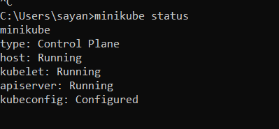 Minikube command line status