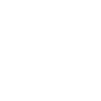 Phoenix NAP Logo