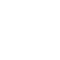 Slim.ai Logo
