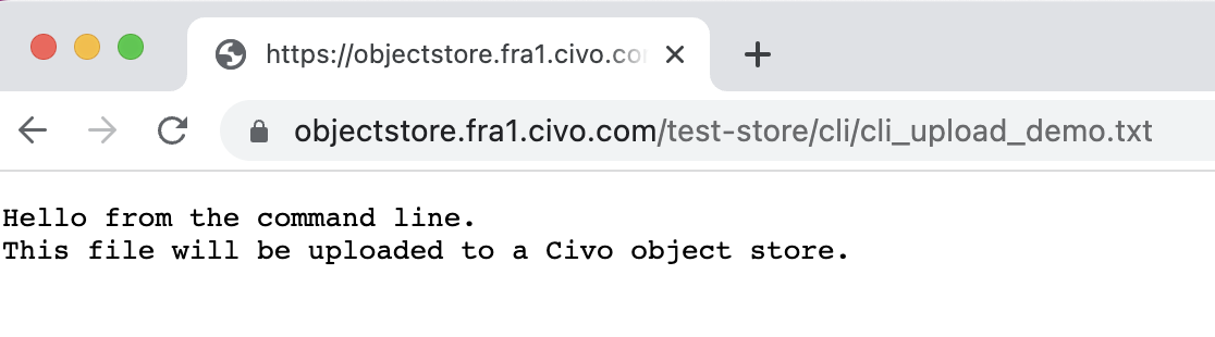 Uploaded file accessed using a web browser pointed at the object's URL