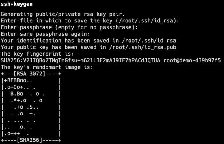 SSH Keygen result with fingerprint details and RSA randomart